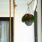 24in. Pre-Lit UV Resistant Artificial Red Tip Photinia & Gold Berries Christmas Hanging Basket with 34 Warm White LED Lights (Indoor/Outdoor)